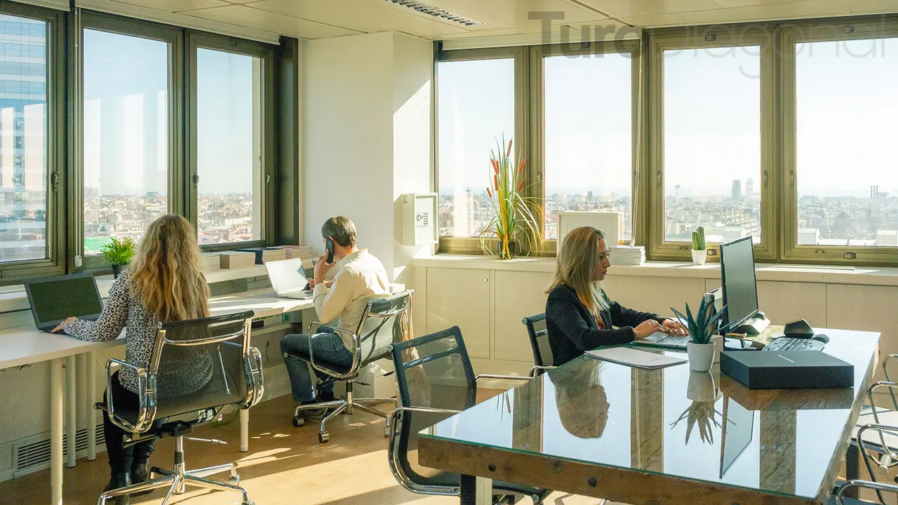 TuroDiagonal, workspace photo 2