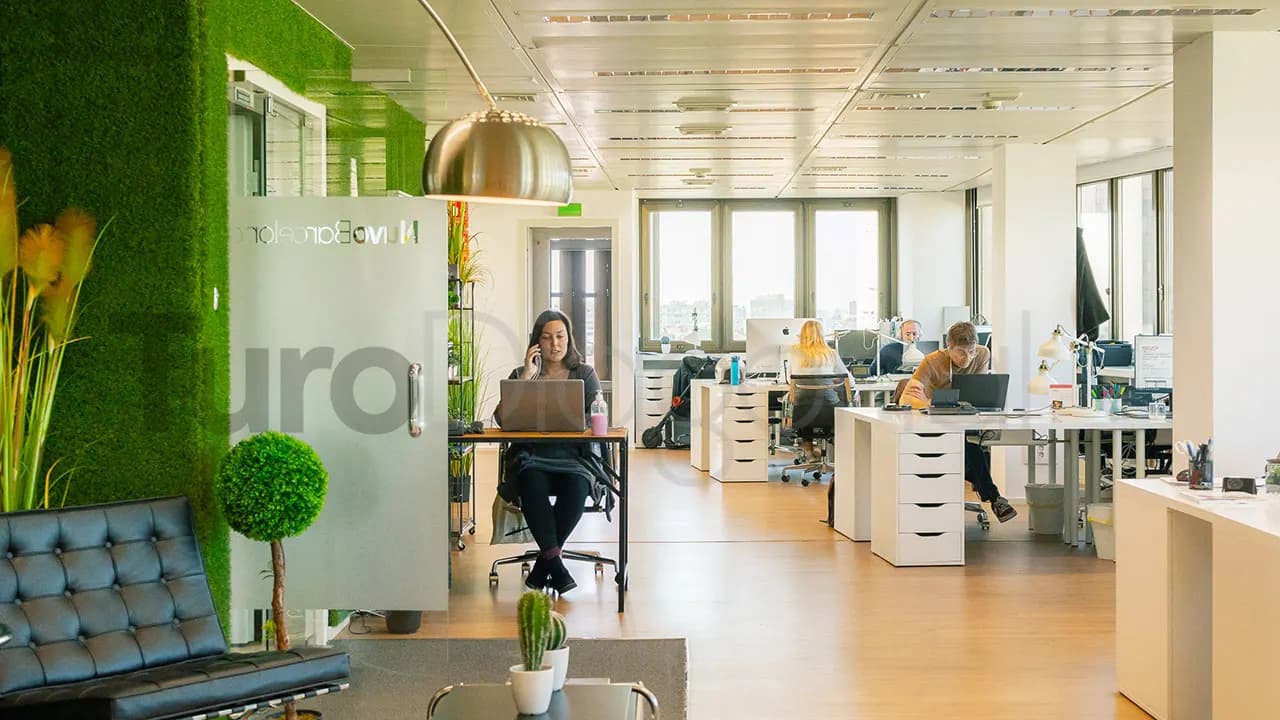 TuroDiagonal, photo de l’espace de travail 4