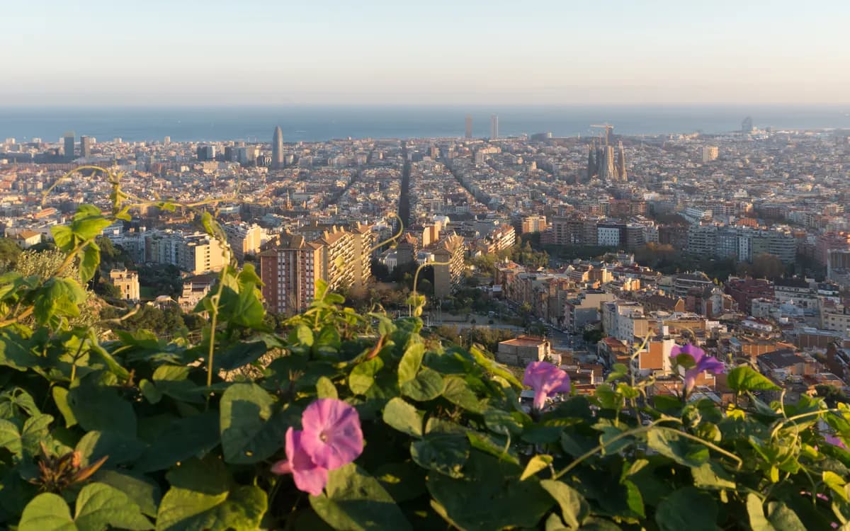 Panorama de Barcelone depuis les Bunkers del Carmel